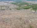 Property photo 50
