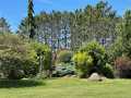 Property photo 52