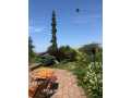 Property photo 53