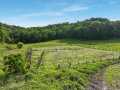 Property photo 50