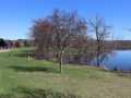 Property photo 53