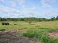 Property photo 53