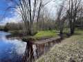 Property photo 57