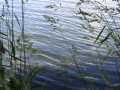 Property photo 60