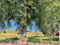 Property photo 53