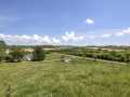 Property photo 56