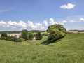 Property photo 57