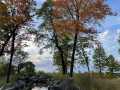 Property photo 49