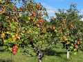 Property photo 59