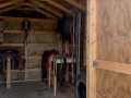 Property photo 60
