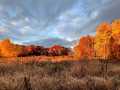 Property photo 48