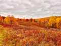 Property photo 49
