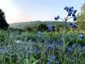Property photo 54