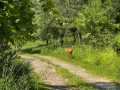 Property photo 55