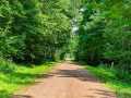 Property photo 44
