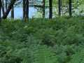Property photo 50