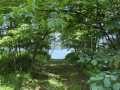 Property photo 52