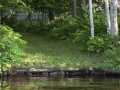Property photo 53