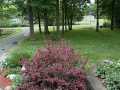 Property photo 54