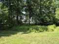 Property photo 59