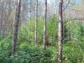 Property photo 49
