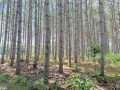 Property photo 50