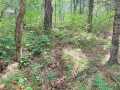 Property photo 52