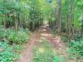 Property photo 54