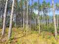 Property photo 56