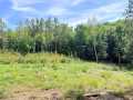 Property photo 57
