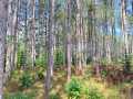 Property photo 58
