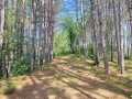 Property photo 59