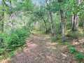 Property photo 60