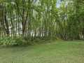 Property photo 46