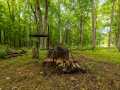 Property photo 50