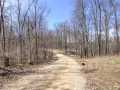 Property photo 36