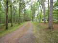 Property photo 51