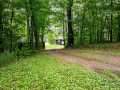 Property photo 49