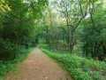 Property photo 55