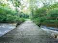 Property photo 56