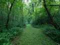 Property photo 57