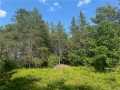 Property photo 50