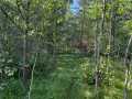 Property photo 52