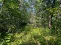 Property photo 55