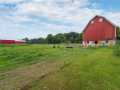 Property photo 43