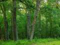 Property photo 36