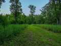 Property photo 50