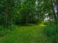 Property photo 51