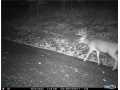 Property photo 50