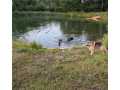 Property photo 56